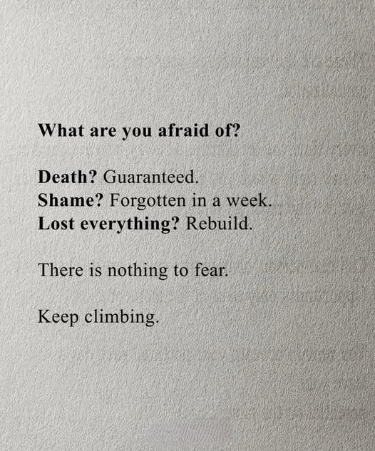 Book Therapy tweet media