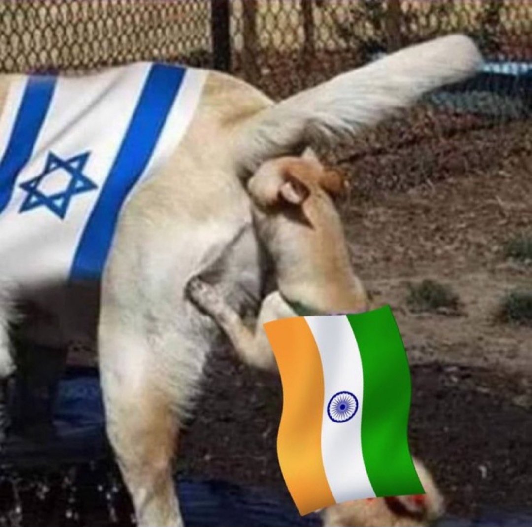 🚜qadim tweet media