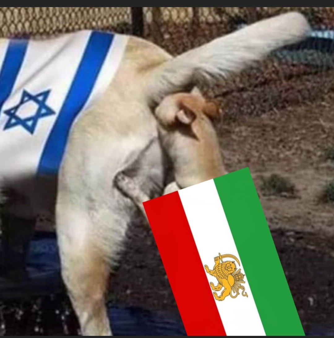 🚜qadim tweet media