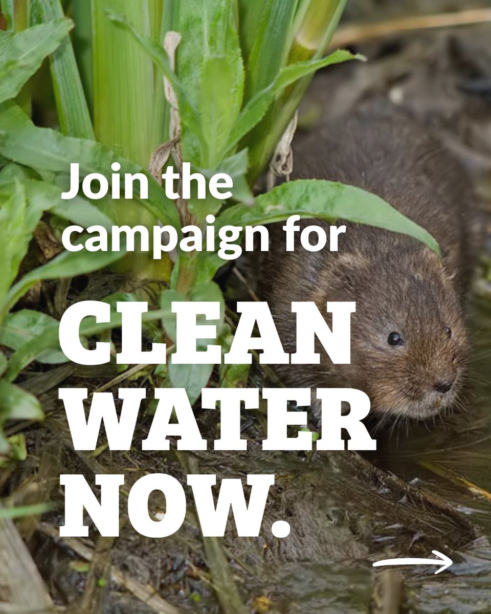 ciwf's tweet photo. Clean water can’t wait.
Farming pollution, sewage, and toxic chemicals are choking our waters.
So we've joined with over 40 other orgs to launch the #CleanWaterNow campaign.
Find out more and take action: https://t.co/Rk60qQQhRD https://t.co/wJPKKdmYP6