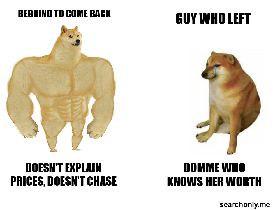 SearchOnly tweet media