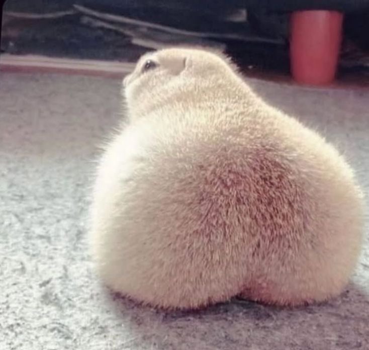 ang3ljmn's tweet image. #tweet