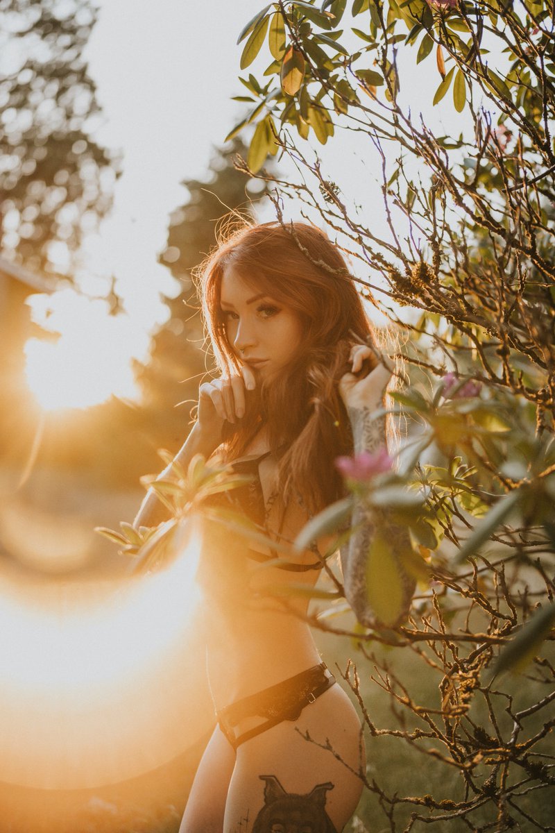 Zara Wolf 🌙 tweet media