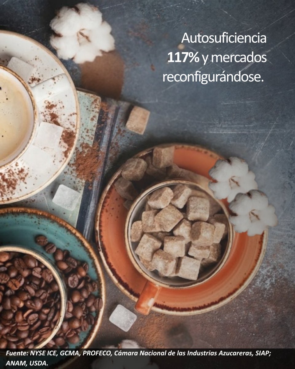 🌾📉#AgrocomunidadGCMA, enero 2026 llegó con cambios fuertes:
🔹 Azúcar: precios internacionales con caídas anuales de hasta -33%.
🔹 Café: exportaciones +110%🚀.
🔹 Cacao: precios -55% anual pero exportaciones +545%.
🔹 Algodón: exportaciones -72%

#Azúcar #Café #Cacao #Algodón