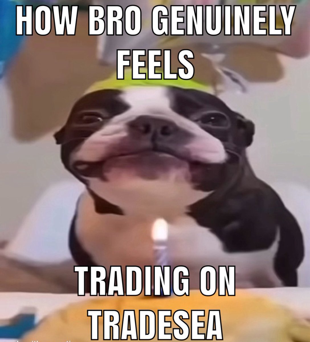 EvT444's tweet photo. @tradesea https://t.co/boPMZNrPPA