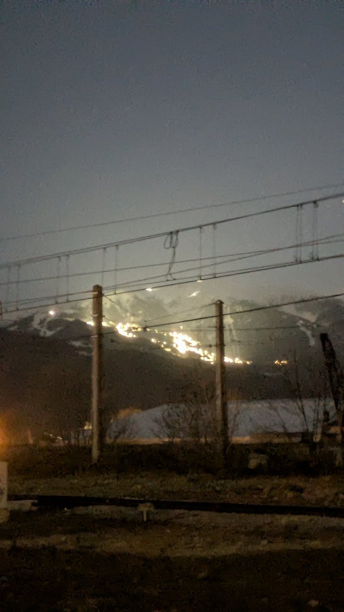 Pirinenc feréstec. tweet media