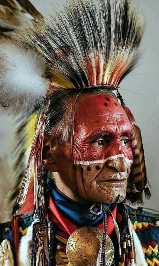 Native American History tweet media