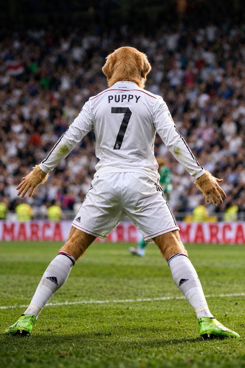 CryptoWatcher tweet media