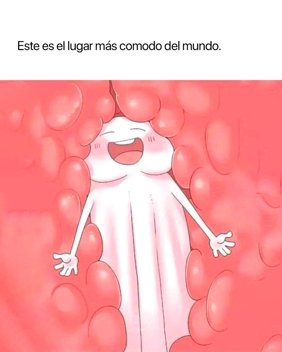 Cultura Horney tweet media