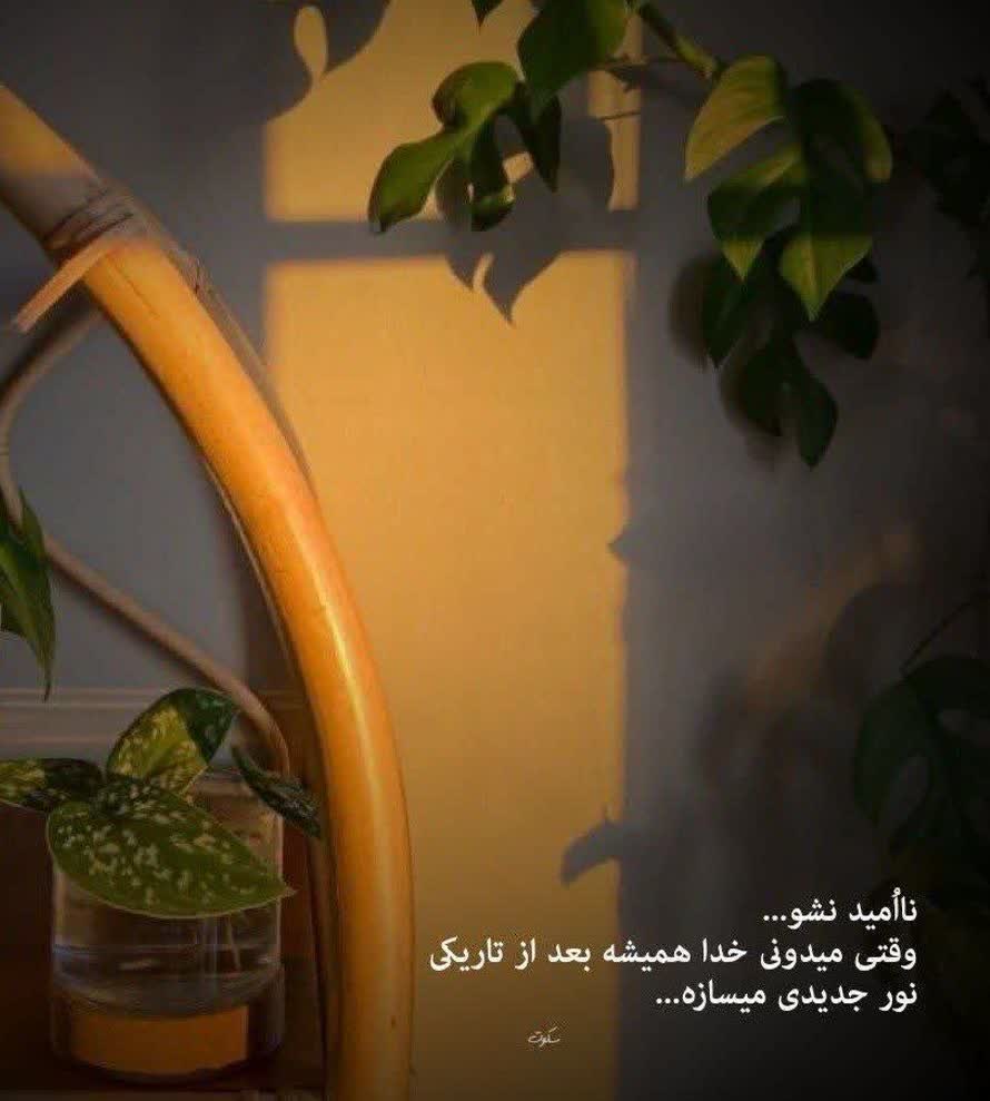 bano1368 tweet media