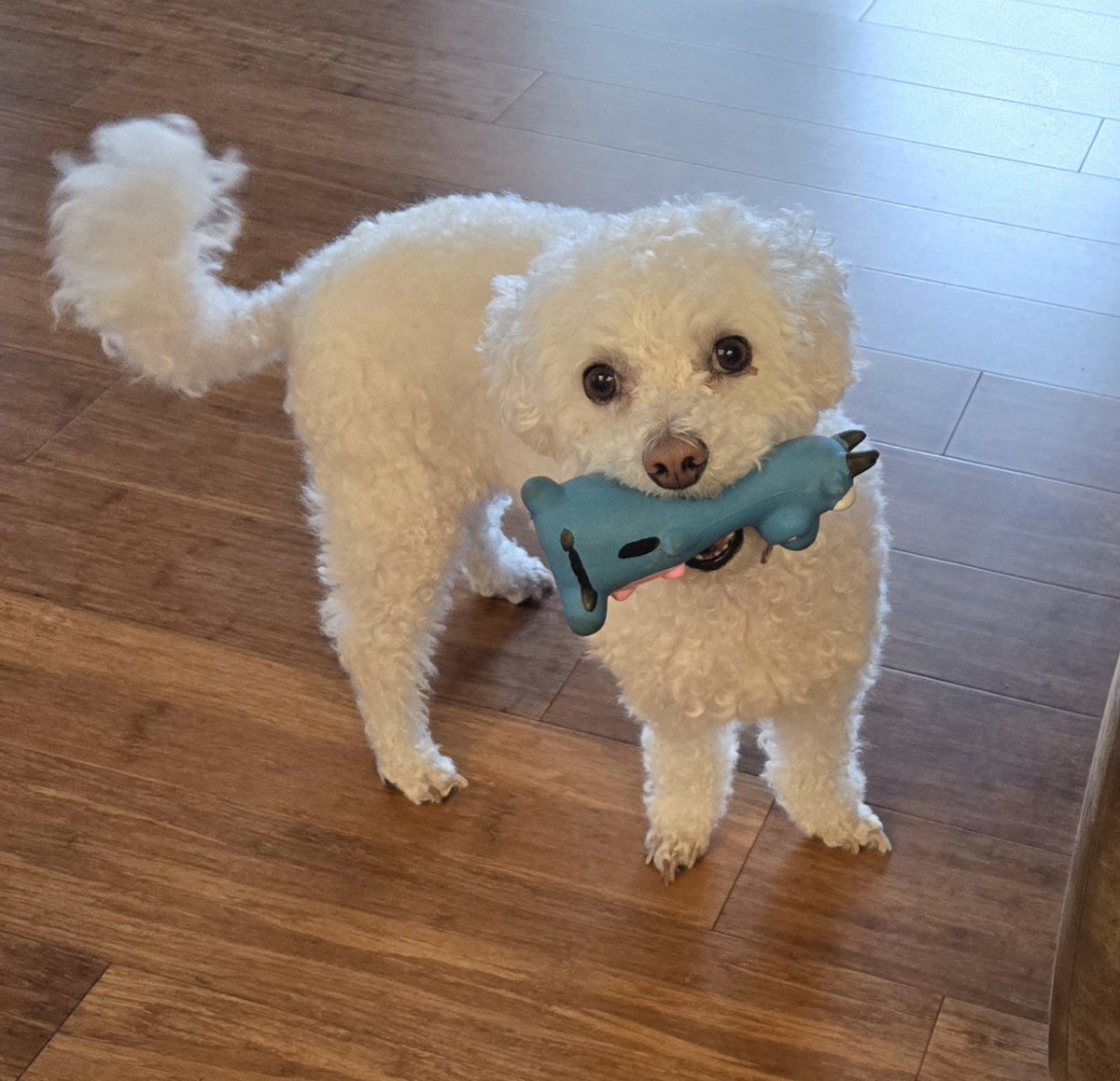 Office of Indiana State Chemist tweet media