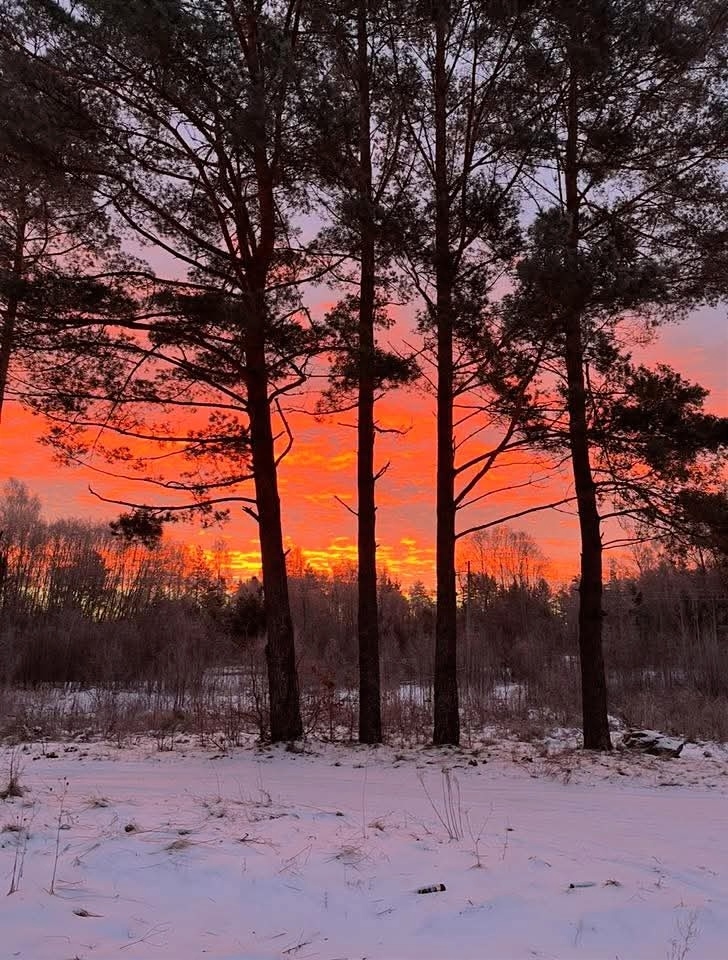 Nata27Best's tweet image. Добрый вечер. Good evening. 
#WinterVibes 
#NaturePhotography