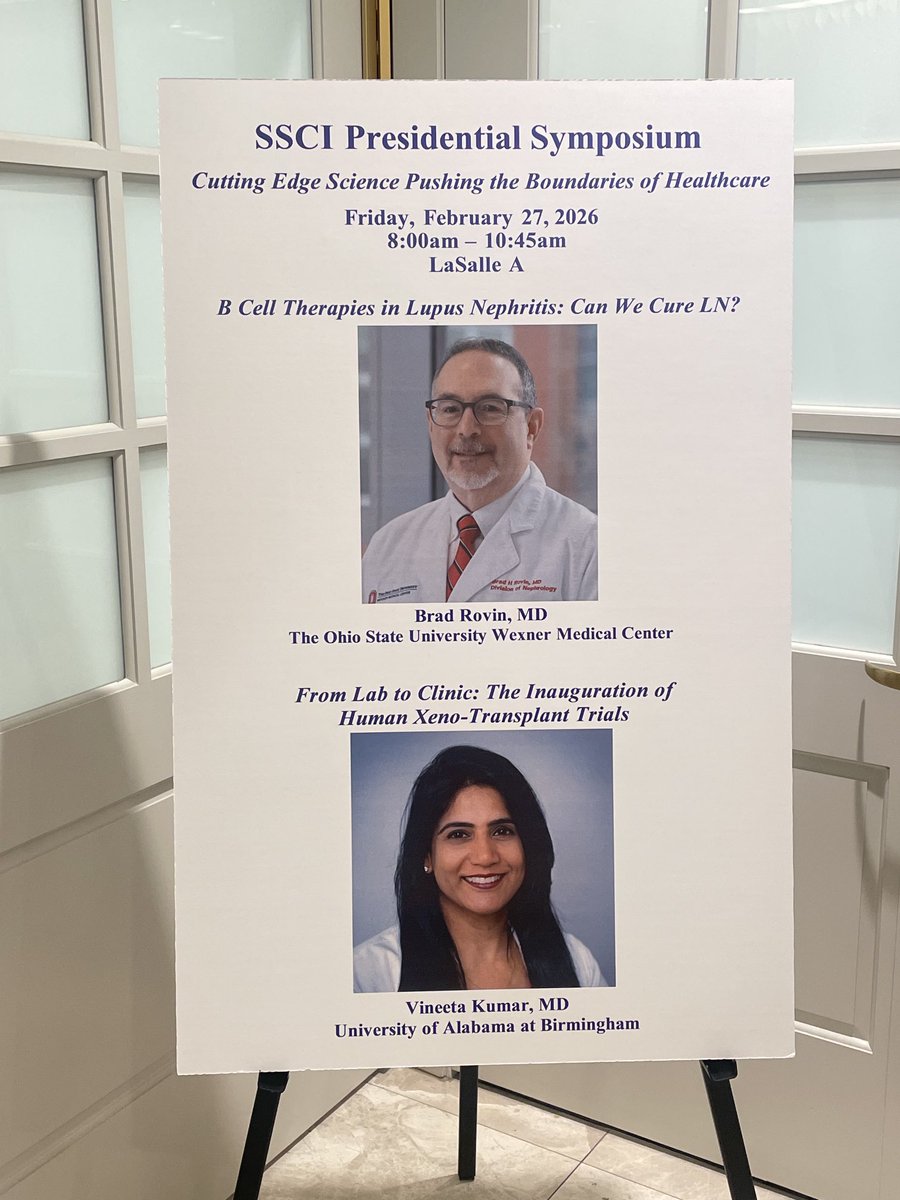 Dana Rizk tweet media