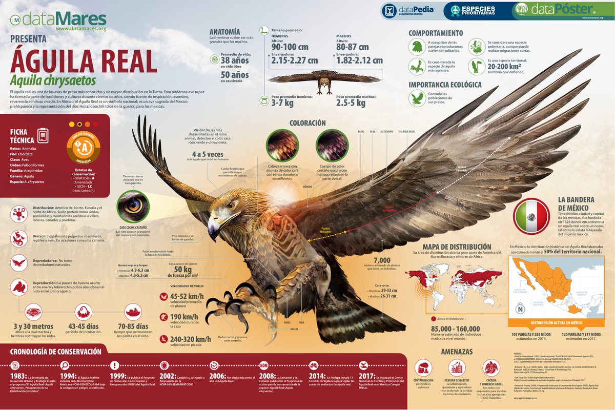 dataMares tweet media