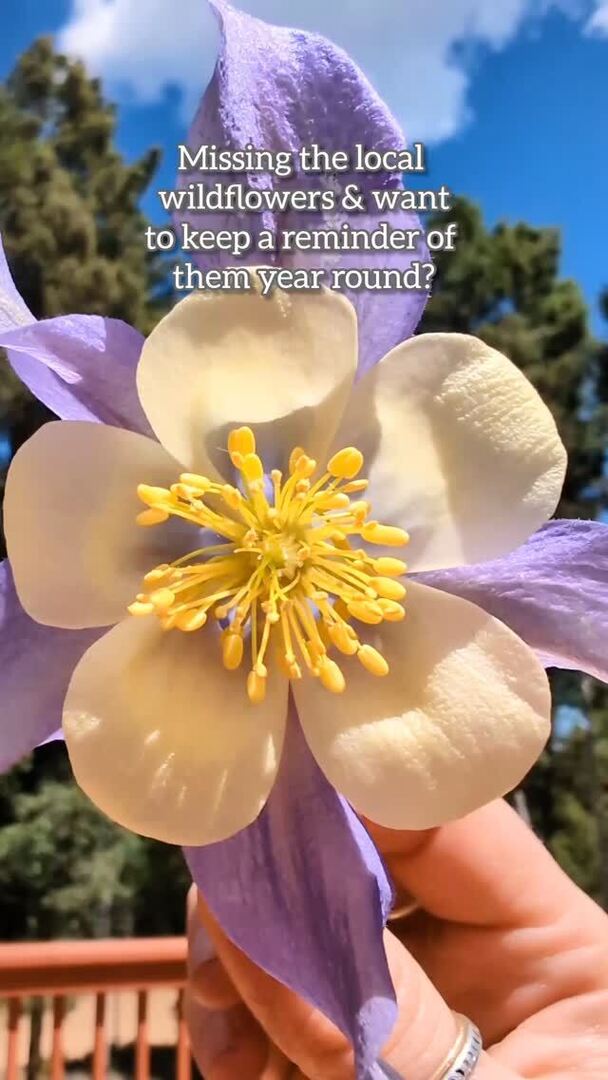 COSkiChairs's tweet image. We'll help you get your patio ready for Spring! 🌸🌿

ift.tt/tujX3V5
303 775 7273

#modernhome #deck #outdoors #coloradoliving  #springflowers instagr.am/p/DVO0FdjEZEV/