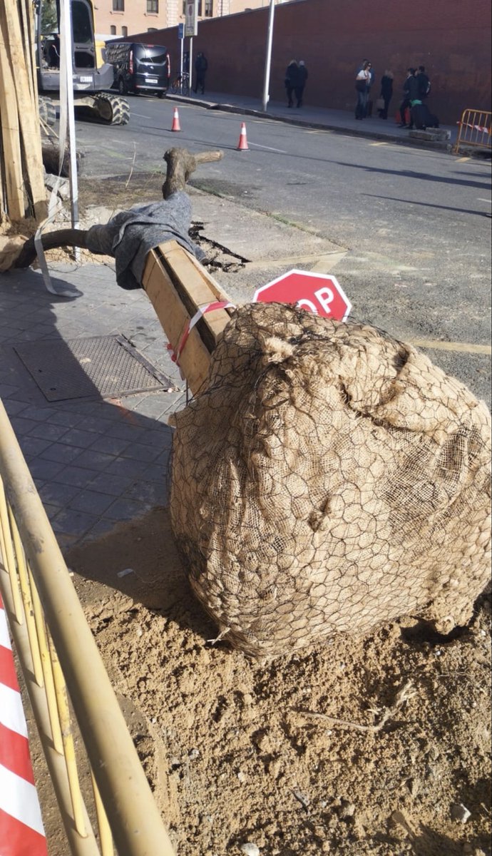 angelviso's tweet photo. @MarotoReyes como ya tienes los pañuelos y las pancartas, puedes ir a Méndez Álvaro a manifestarte por la BARBARIDAD que está haciendo ADIF https://t.co/wNqxlKCUSg