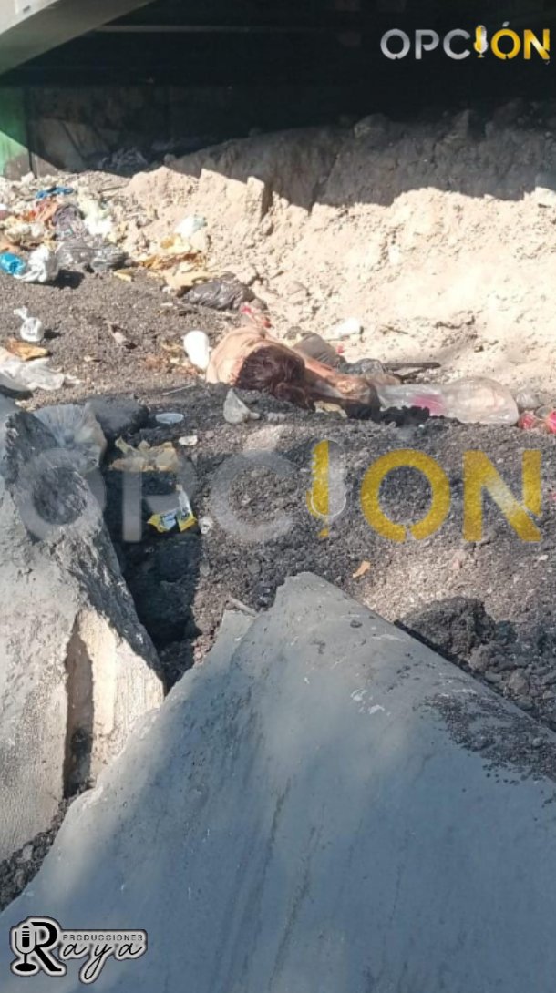 opcion_mx's tweet photo. Hallan el cuerpo de una femenina en el bajo puente de Periférico-Calle 7 y Río Churubusco.
Elementos de la #SSCCDMX resguardan el lugar en espera de los peritos. https://t.co/NXYSkusyCI