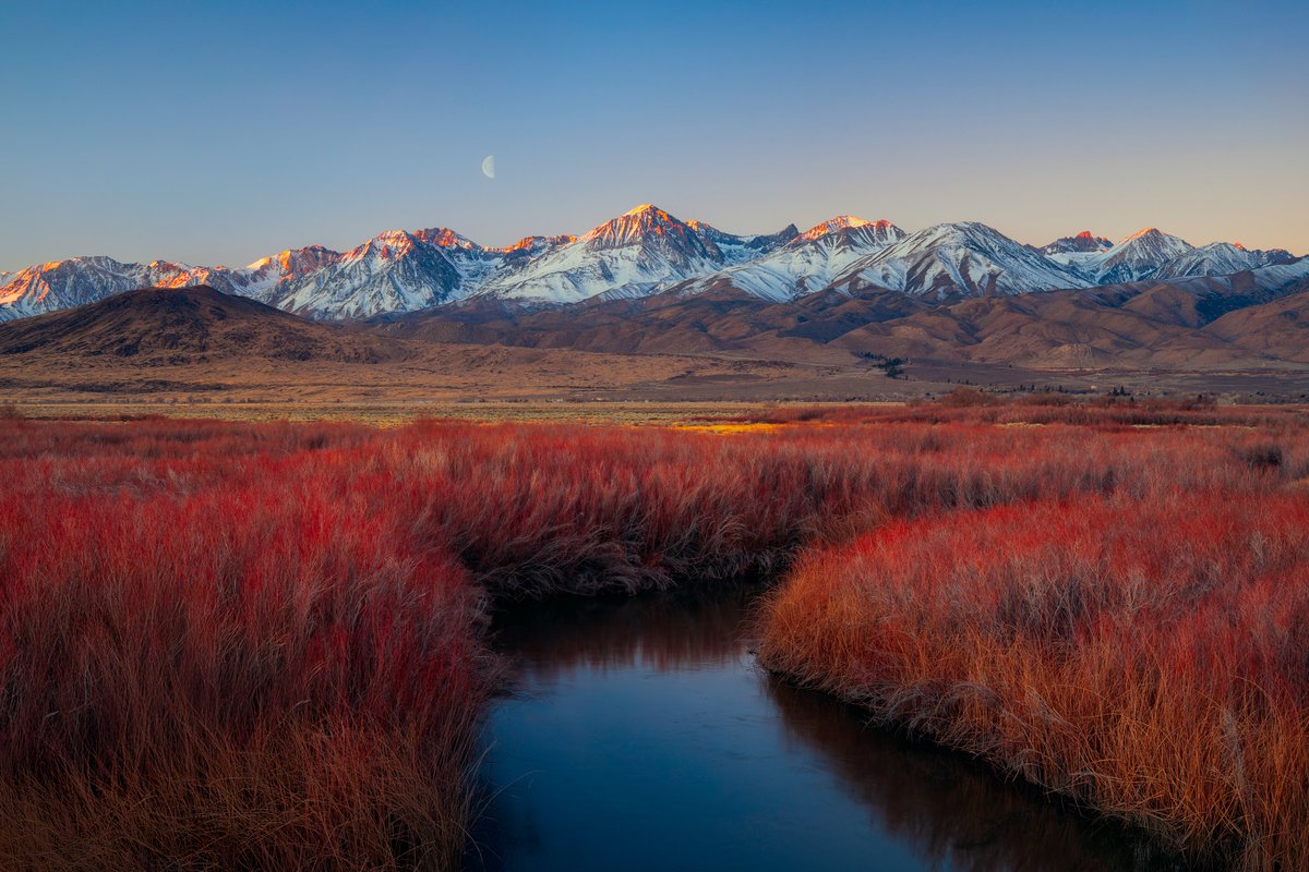 Sony | Alpha tweet media