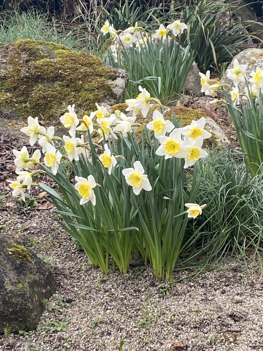 Bishop Paul Dempsey tweet media