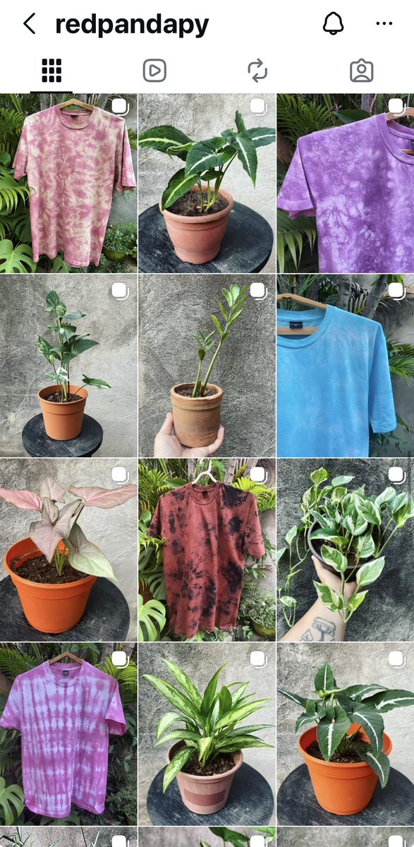 Karen Ovando tweet media