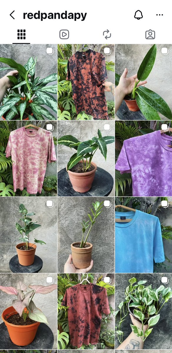 Karen Ovando tweet media