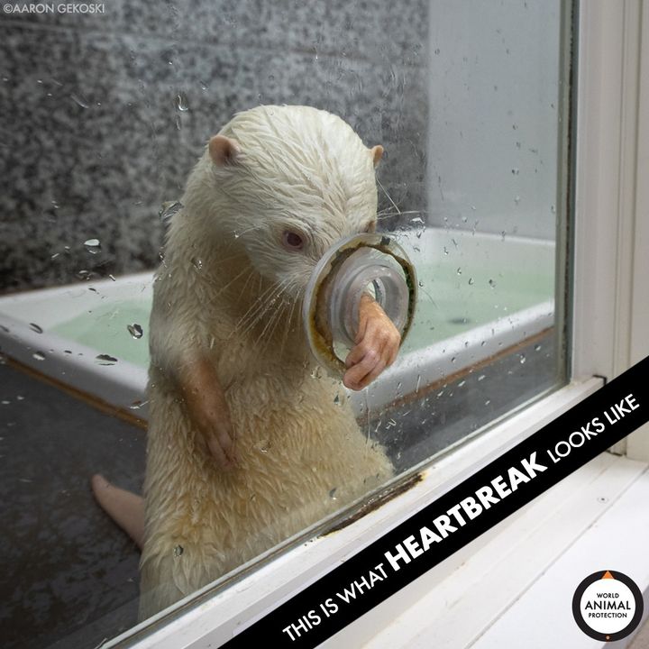 Put yourself in their place. 💔