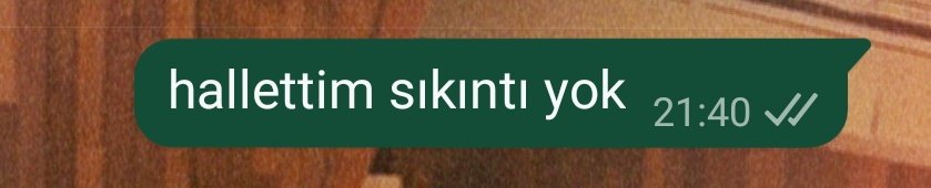 bir cümle olsaydım