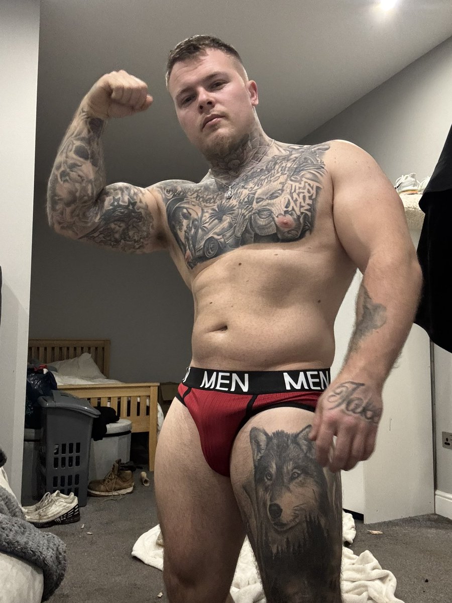 Alphajacked 🦍 tweet media