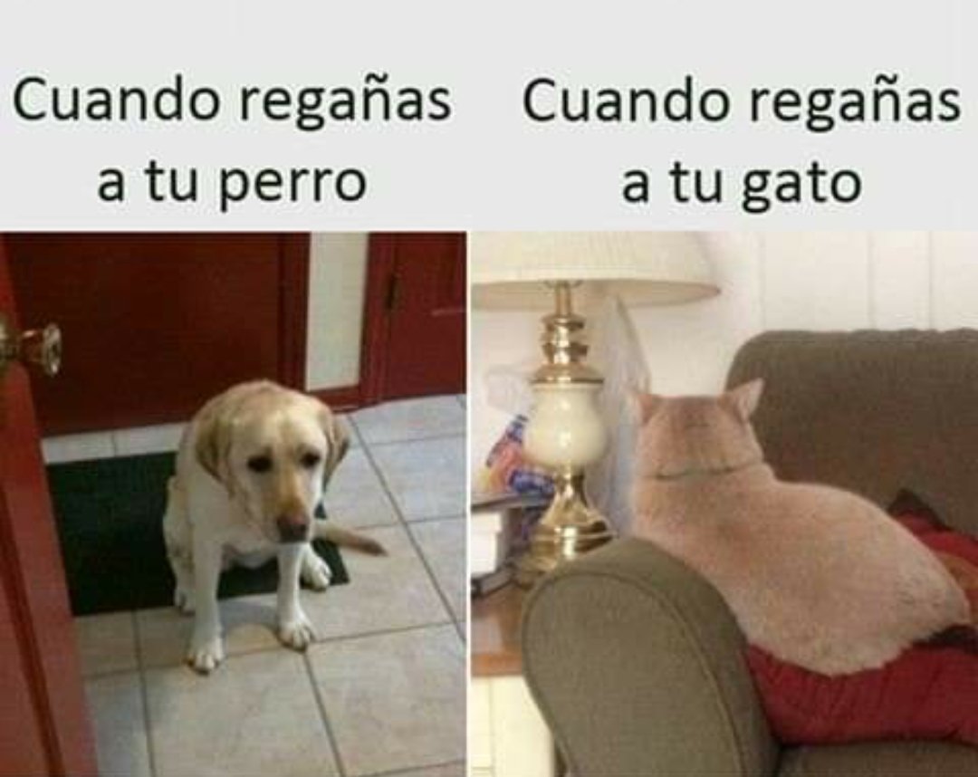 Muy cierto, 🤣🤣