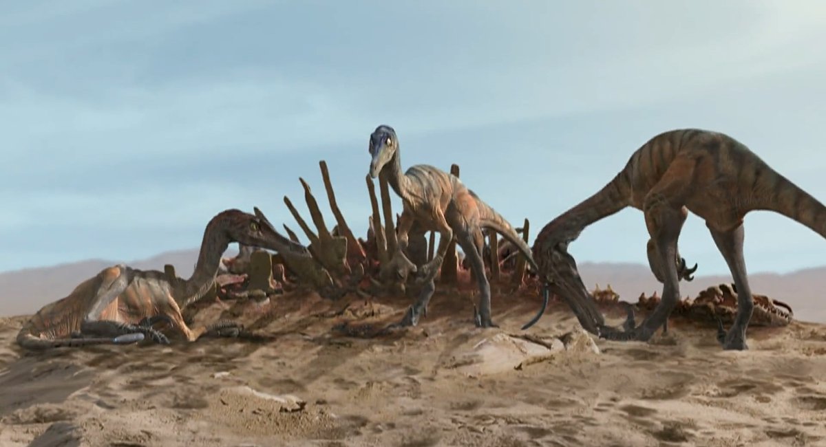 SpiderBlack tweet media