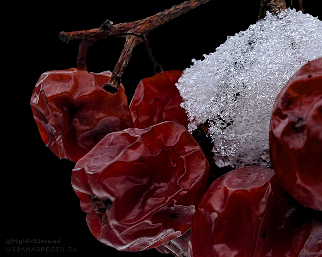 Urban Aspects tweet media