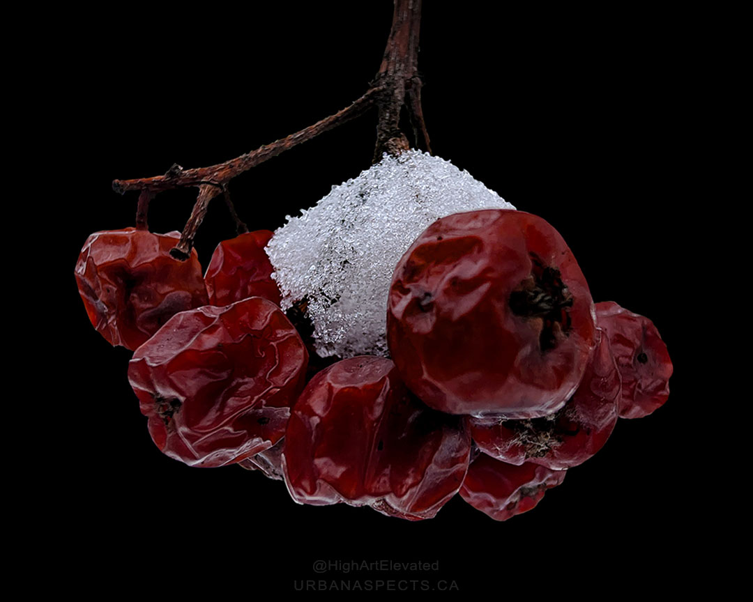 Urban Aspects tweet media