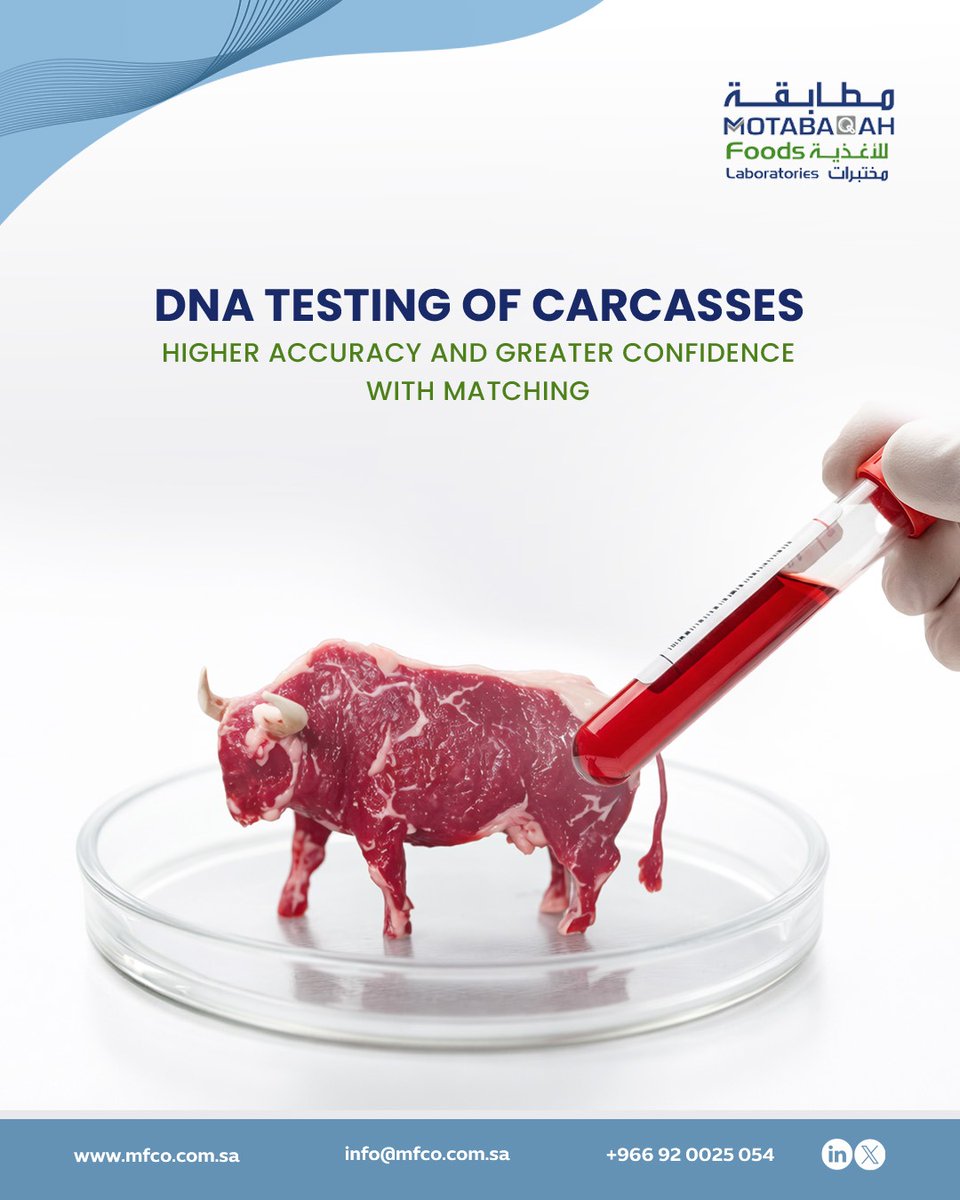 MFCKSA's tweet photo. At Motabaqah Food Laboratories, we offer DNA testing of carcasses to verify their type and source,

ensuring their compliance with approved regulations and requirements, and promoting transparency and confidence in the safety and quality of products. https://t.co/DIWNTBvs2l