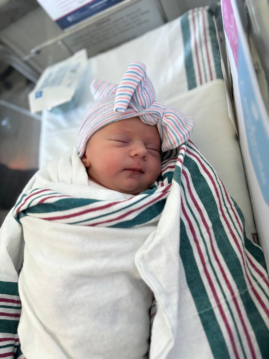 Levi Teldon tweet media