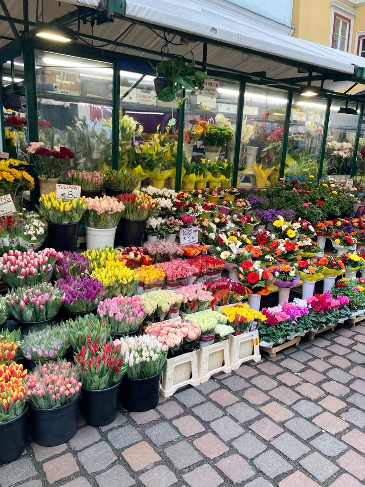 Bloomify tweet media