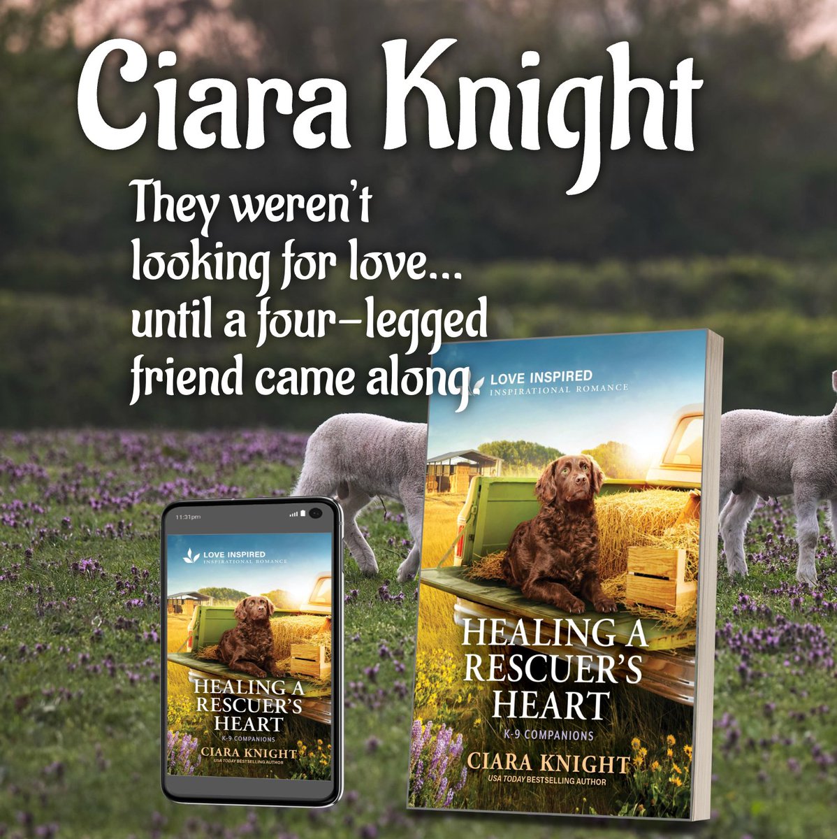 𝕹𝖆𝖘 𝕯𝖊𝖆𝖓 tweet media