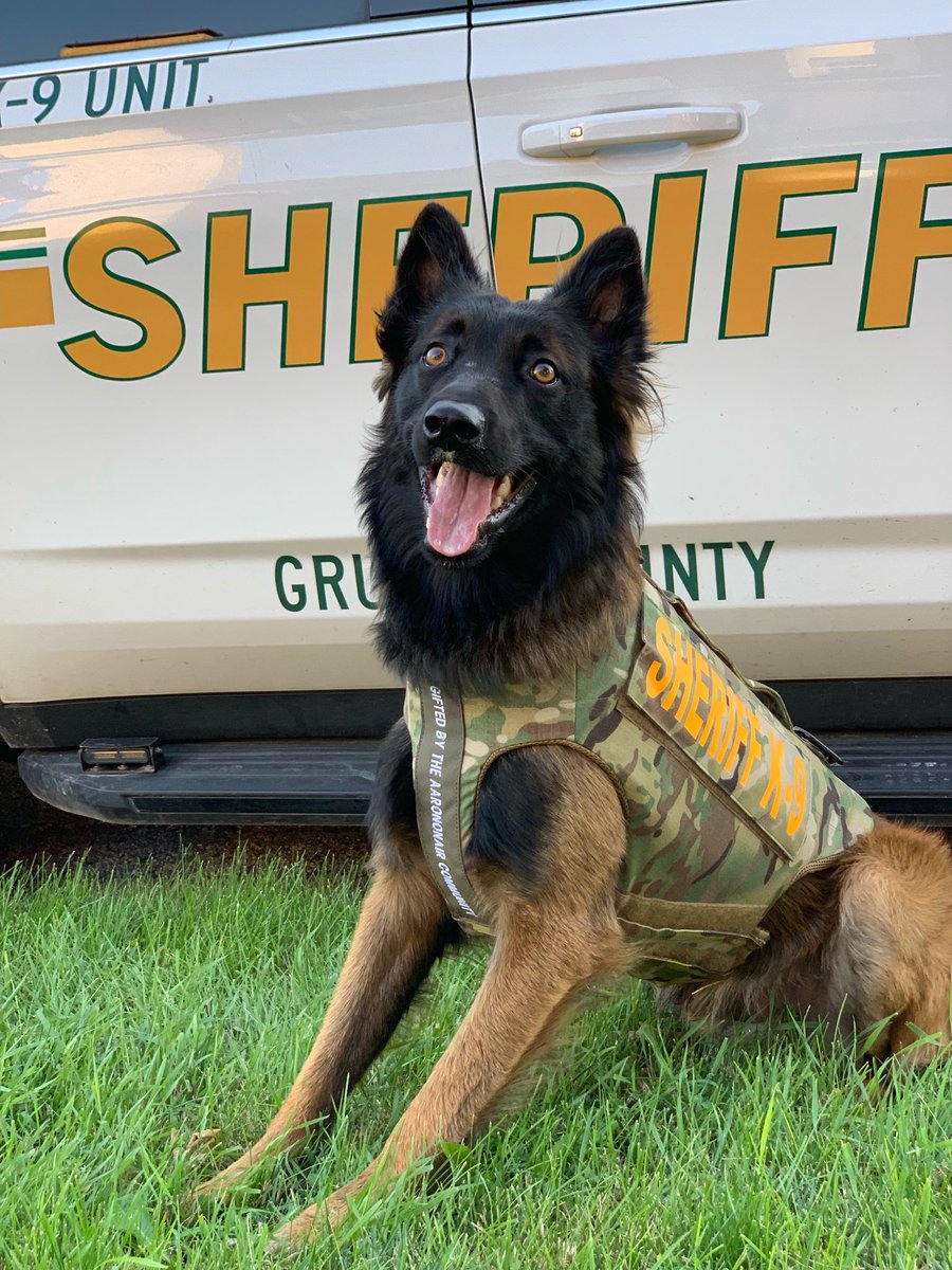 AaronOnAir tweet media