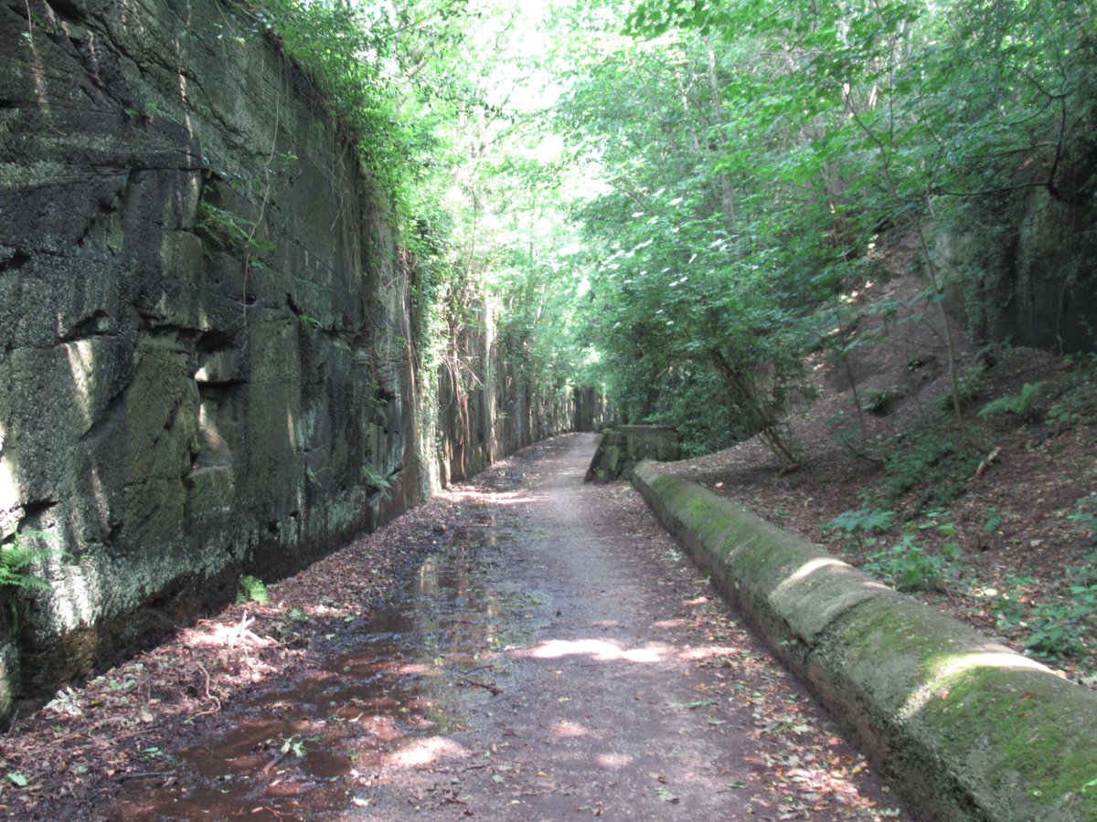 Oceania Sceptic tweet media