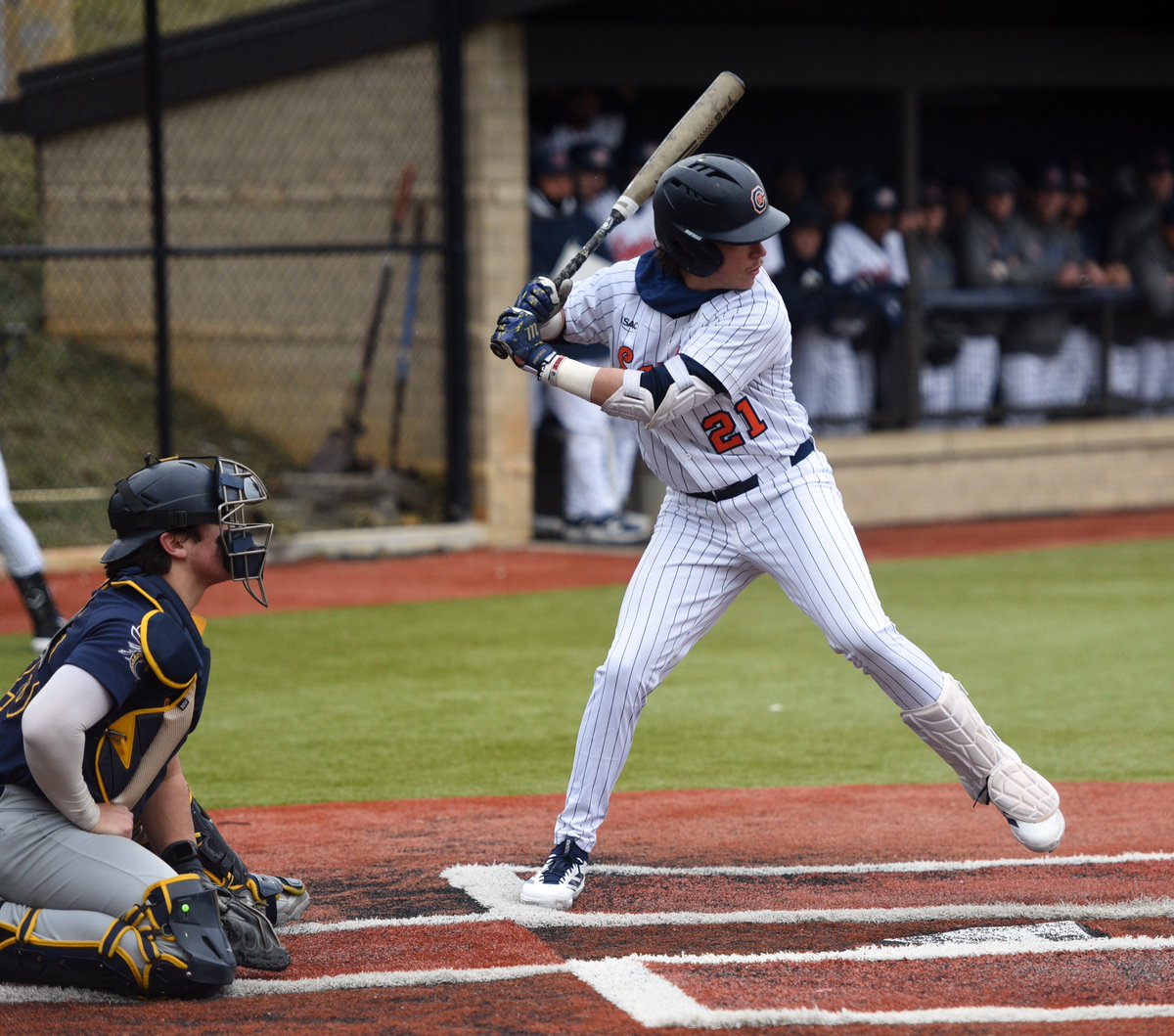 Carson-Newman Athletics tweet media