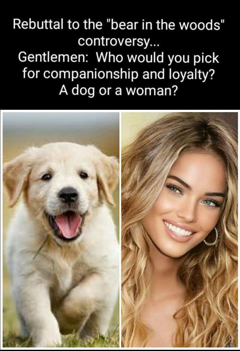 Freckled Liberty 🔥 tweet media