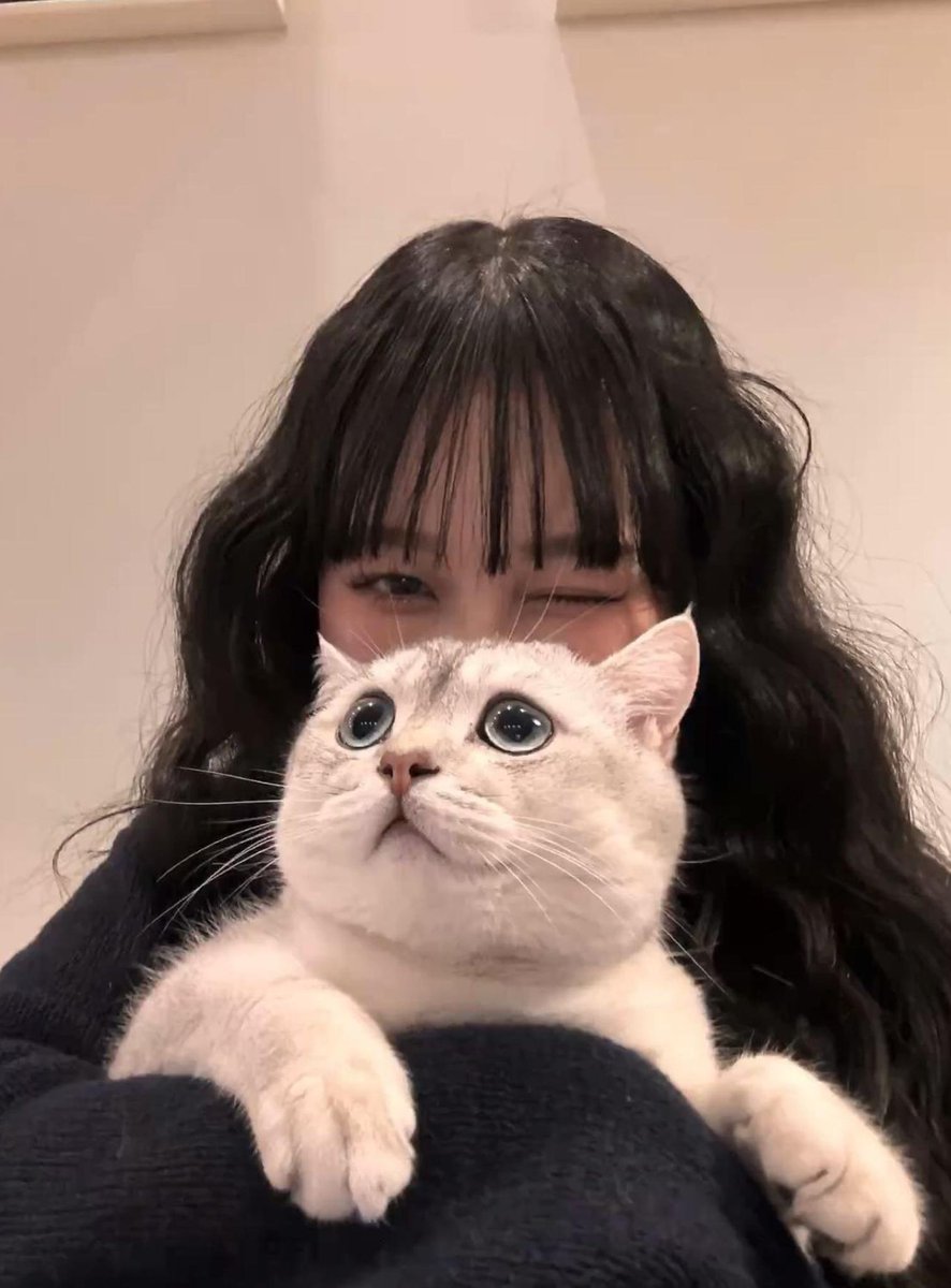 柔らかいテレビ 🐵