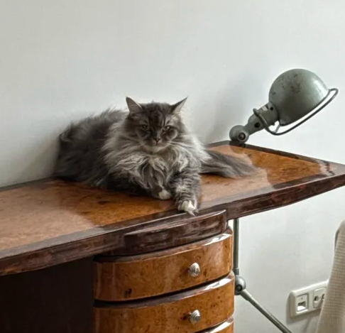 Jenax_LoL's tweet image. Fizzy der MOG König hatte natürlich recht GGWP
2:1 #EINS