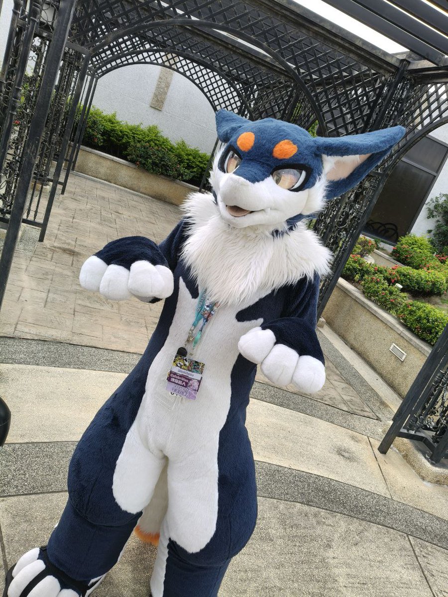 萌萌的🐉🐉～❤️
📷： <a href="/Javier26371559/">Javier 🔜 Infurnity 2026</a> 
#FursuitFriday  #Infurnity2025