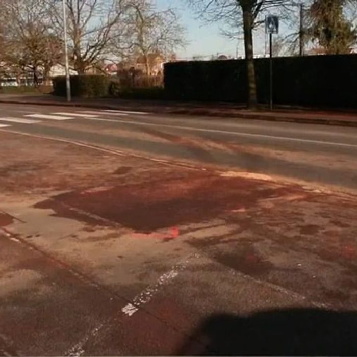 Infos Françaises tweet media