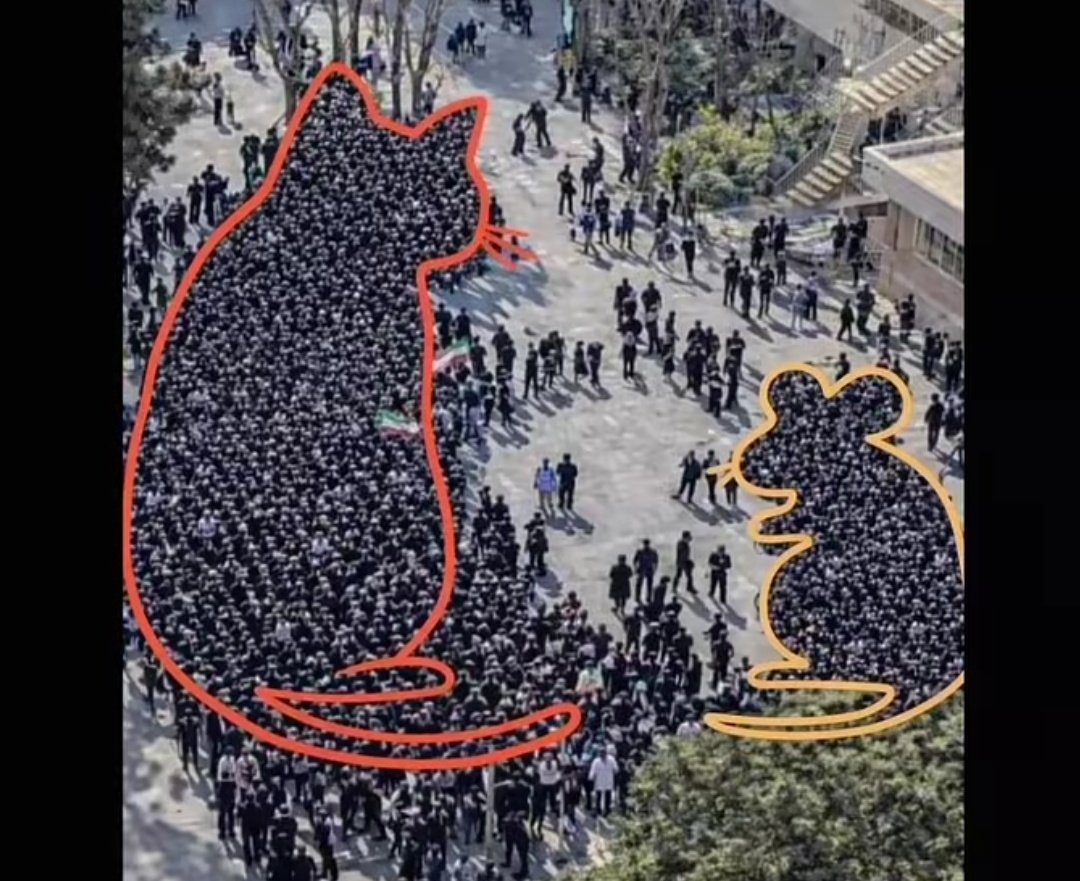 پس ایران الکی گربه نشد و خامنه ایی موش-

#IranRevolution2026
#FreeIranStudents 
#KingRezaPahlavi