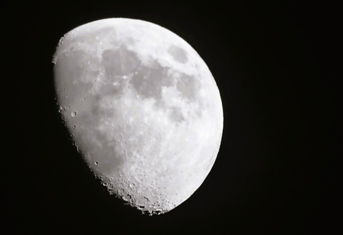 David Livingstone tweet media