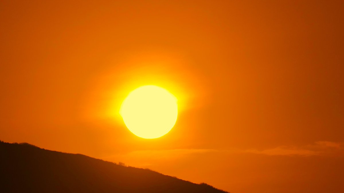 David Livingstone tweet media