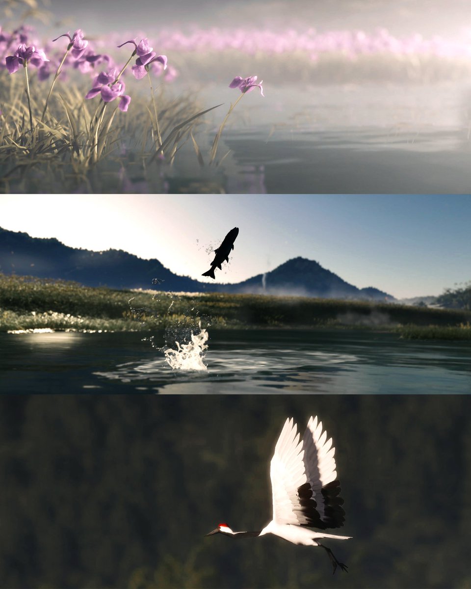 Taryn_VP's tweet image. Ghost of Yotei (PS5)