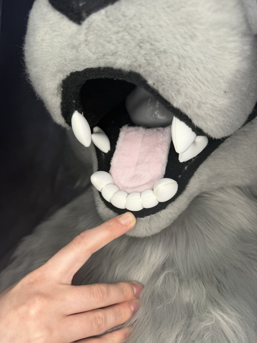 Crown Cryptid Studios tweet media