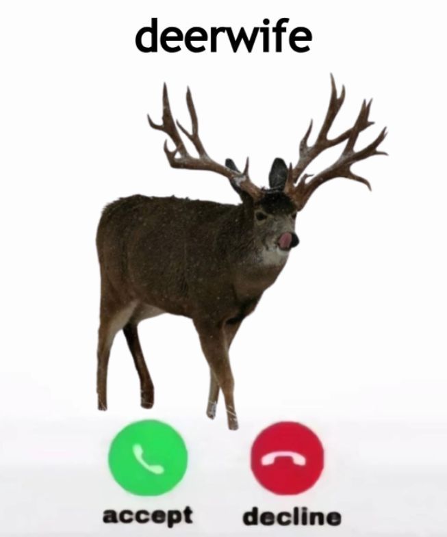 (CHECK PINNED) Deer in Places they Shouldn't Be tweet media